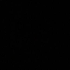 Meet your Posher, Ever